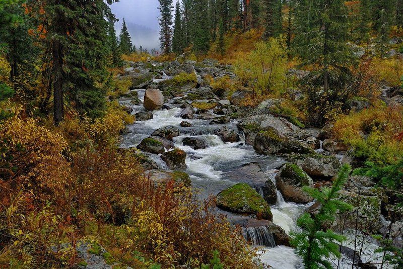 Хроника одной реки 1 фото превью