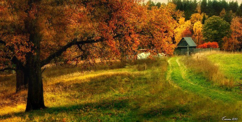 природа, деревня, осень Дом на окраине. фото превью