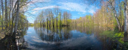 4етыре времени года в Мещере