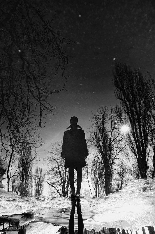 Spring Reflection фото превью