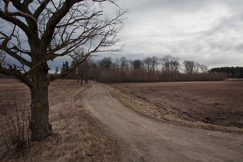 в ожидание пробуждения фото превью