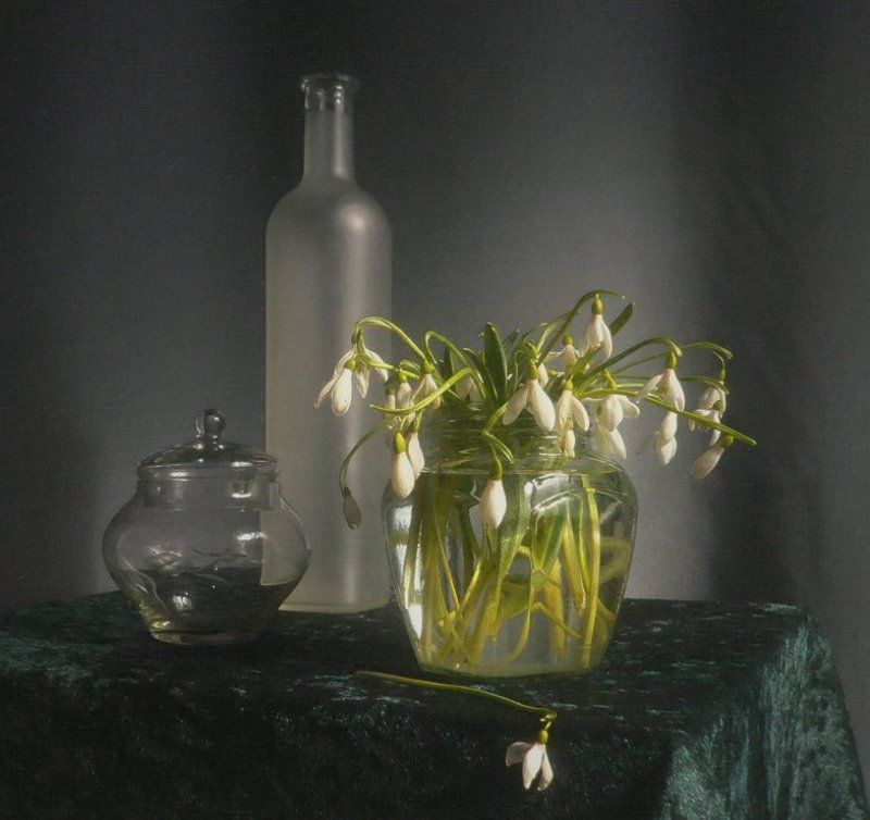 С подснежниками фото превью