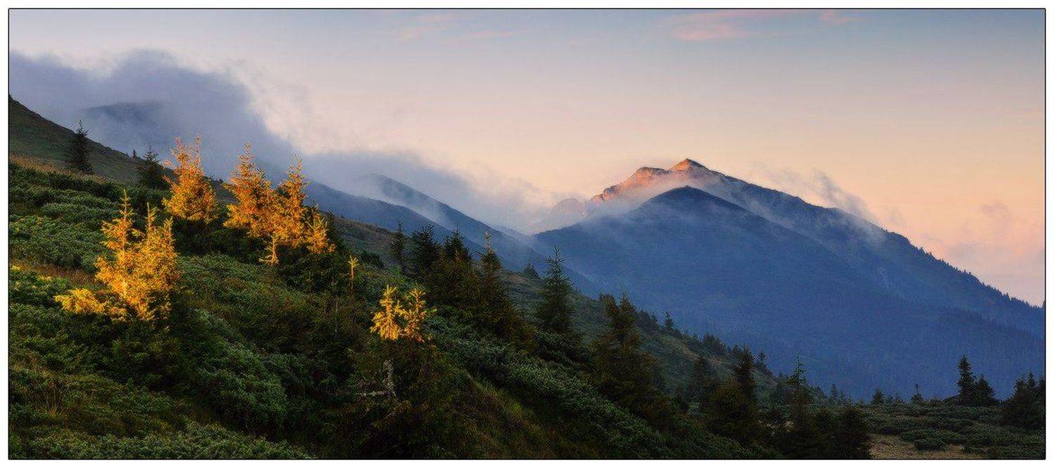 , Денис Кривой