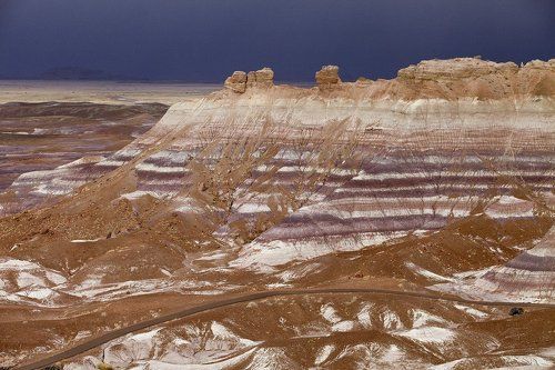 Petrified wood
