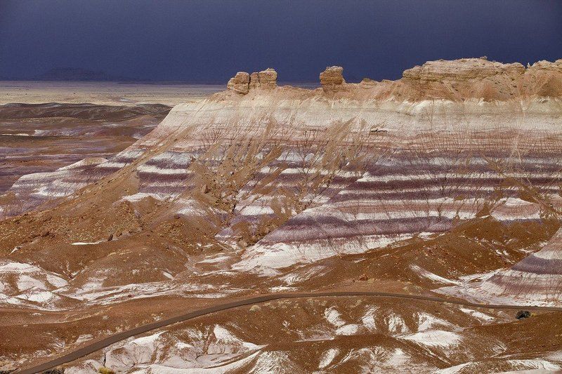 лес, камень, аризона Petrified wood фото превью