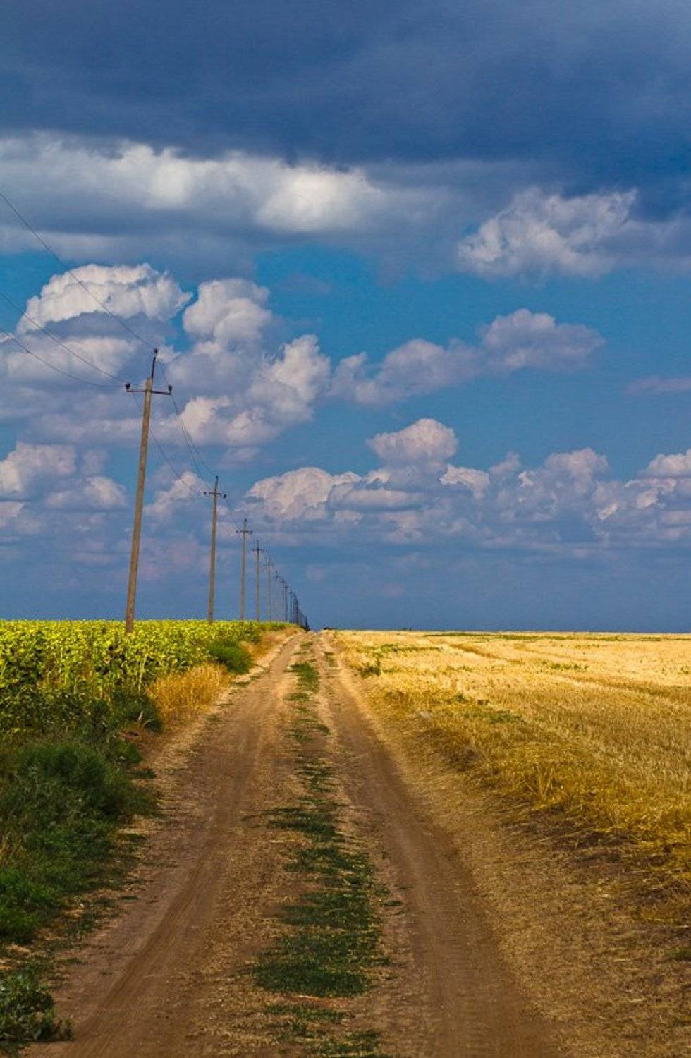 ukraine, лето, крым, дорога, crimea, украина, Maximilian Buckup