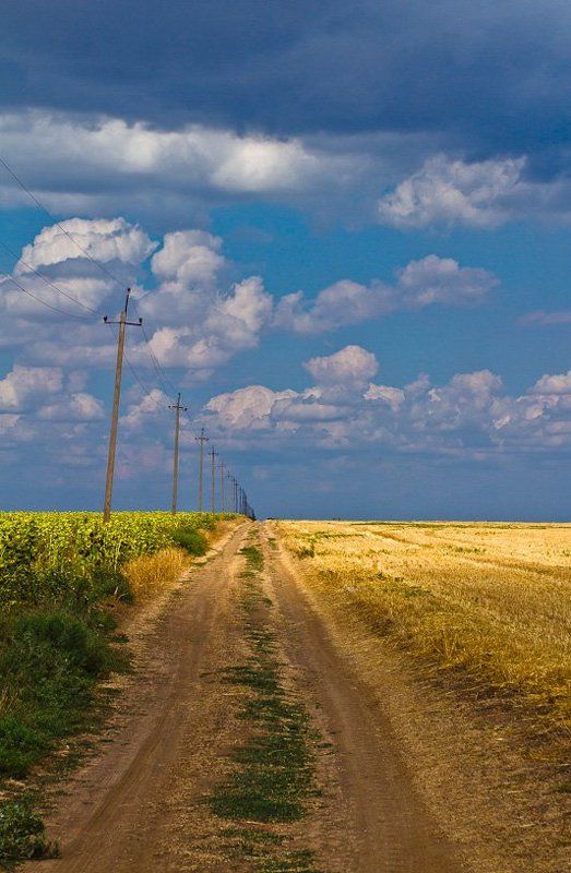 ukraine, лето, крым, дорога, crimea, украина дорога в крым... фото превью