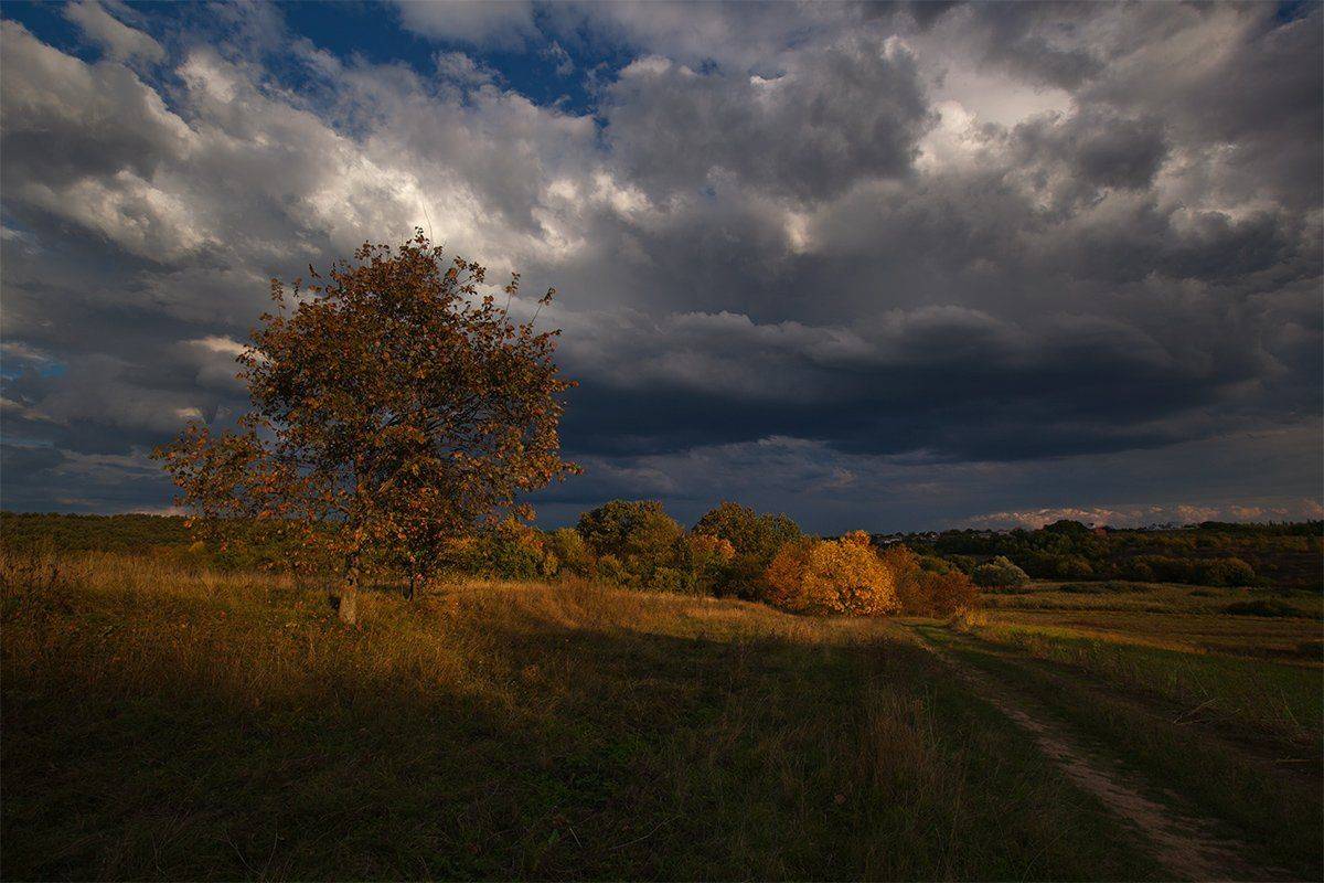 , Петр Антонович