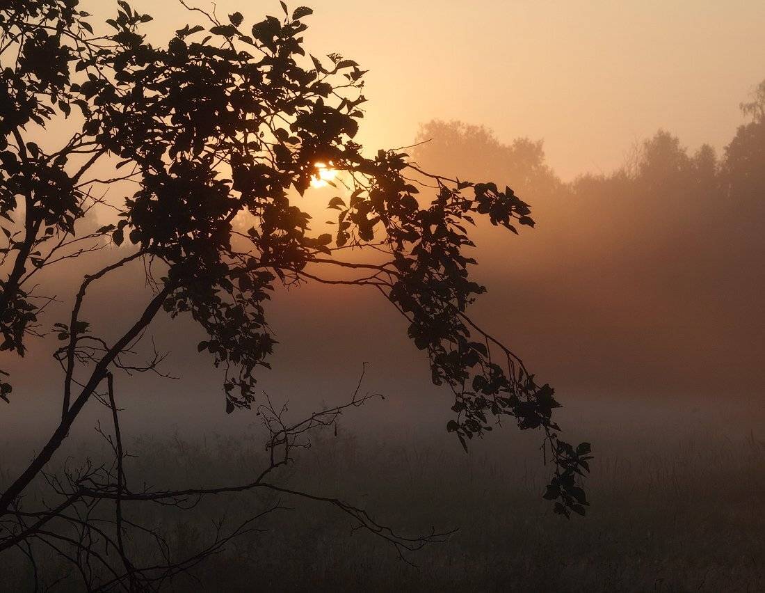 , Владимир Перепечаев