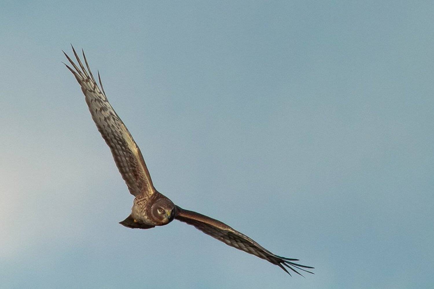 , ГеннадийАлексеич