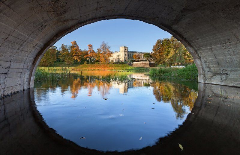 гатчина, осень, утро, гатчинский дворец, карпин пруд, дворцовый парк Гатчинский дворец фото превью