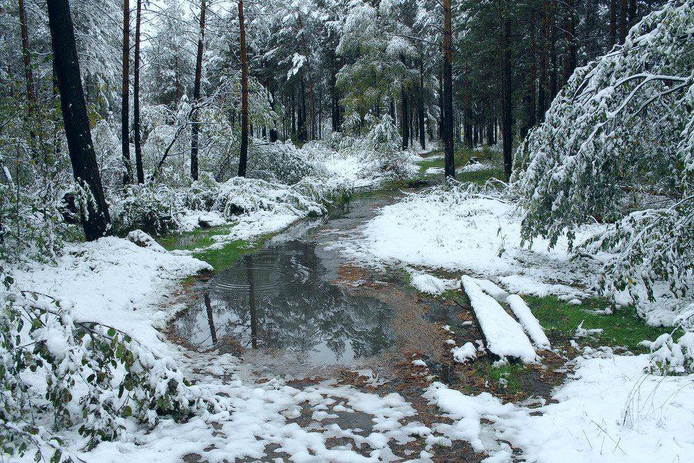 , Николай Морский