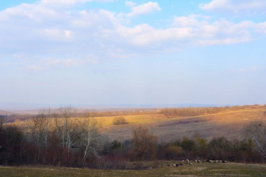 , Светлана Щемелева