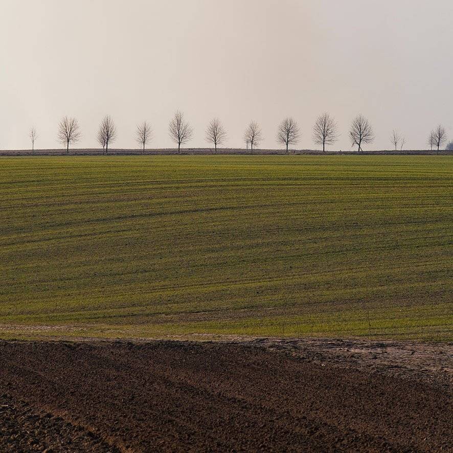 , Юрий Наумович