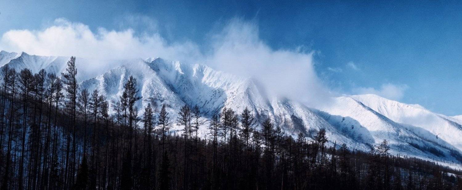 , Дмитрий Демидчик