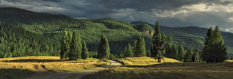 Дороги Алтая (2) фото превью