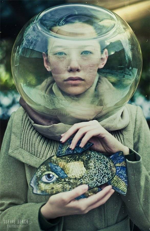 , Софи Черных