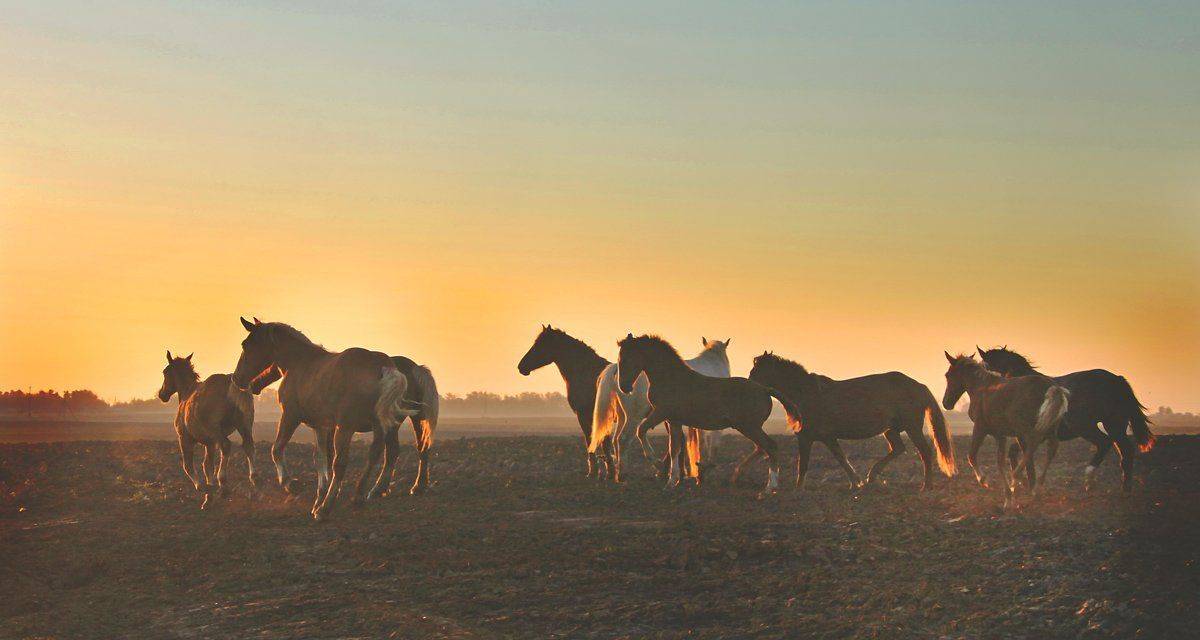 , Валерий Кондратов