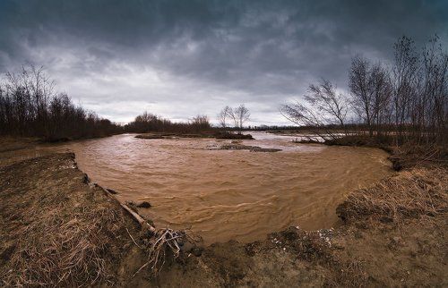 И вот уже реки кофе с молоком