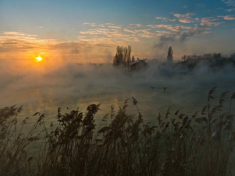 город, парк, зима река кубань ЕЩЁ ОДИН ФРАГМЕНТ  ЖИЗНИ КУБАНЬ РЕКИ фото превью