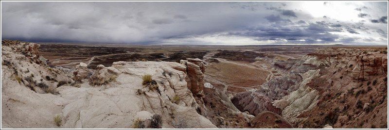 окаменевший, лес, аризона Перед грозой.... фото превью