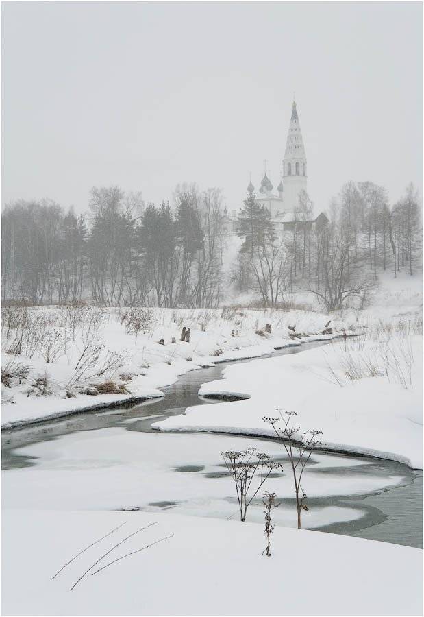 судиславль, Кутыгин Эдуард