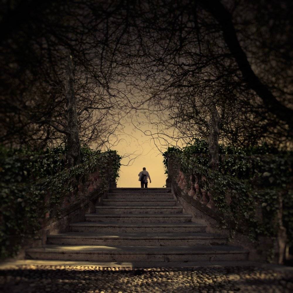 mist, forest, birds, light, tree, man, wood, play, stone, stairs, mystery, tunnel, musician, accordeon, Caras Ionut