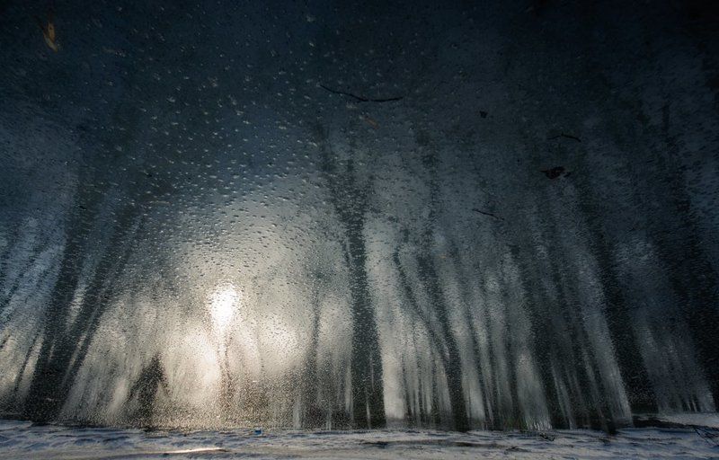 Весенний бег фото превью