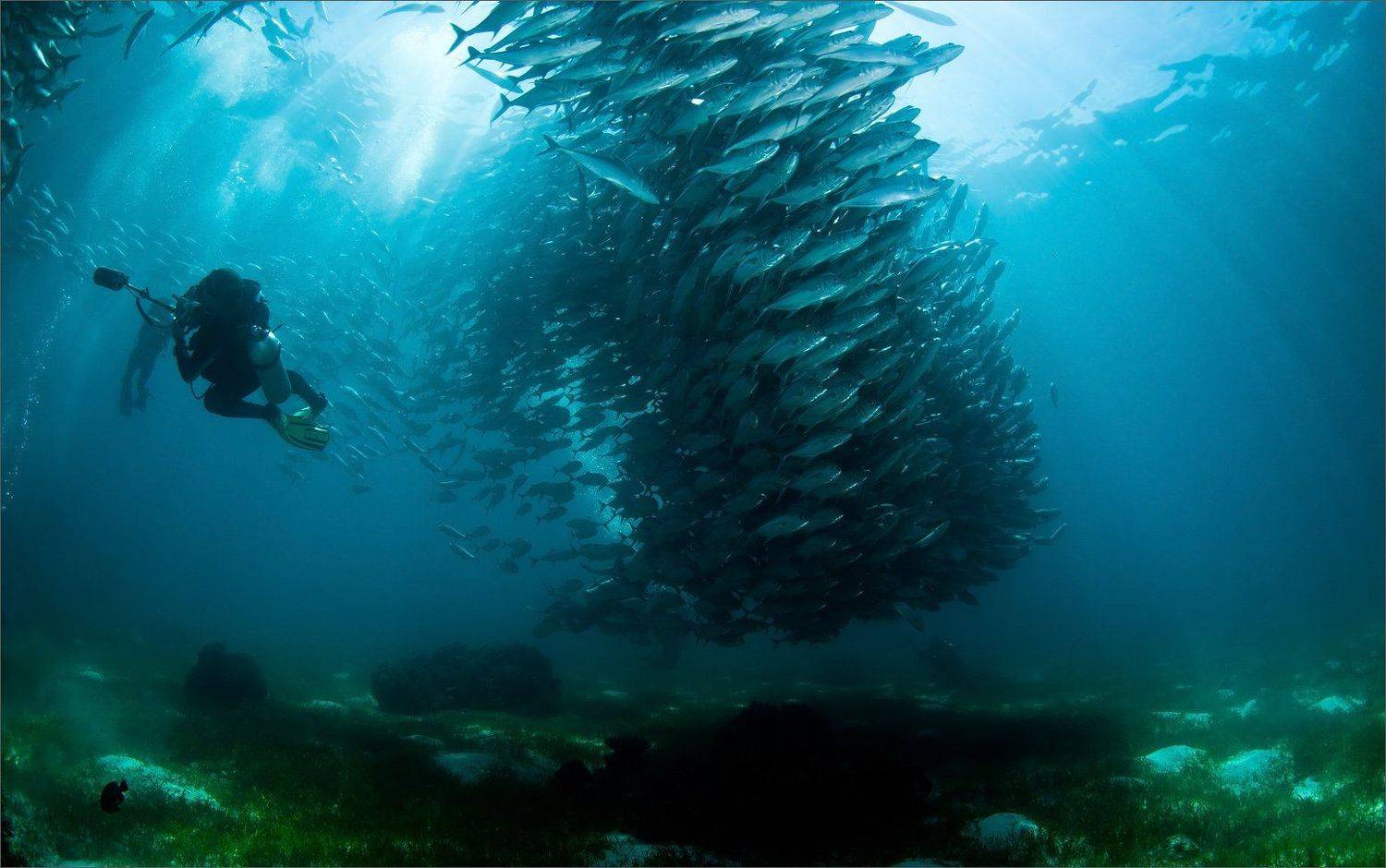 кыно, Нетушки