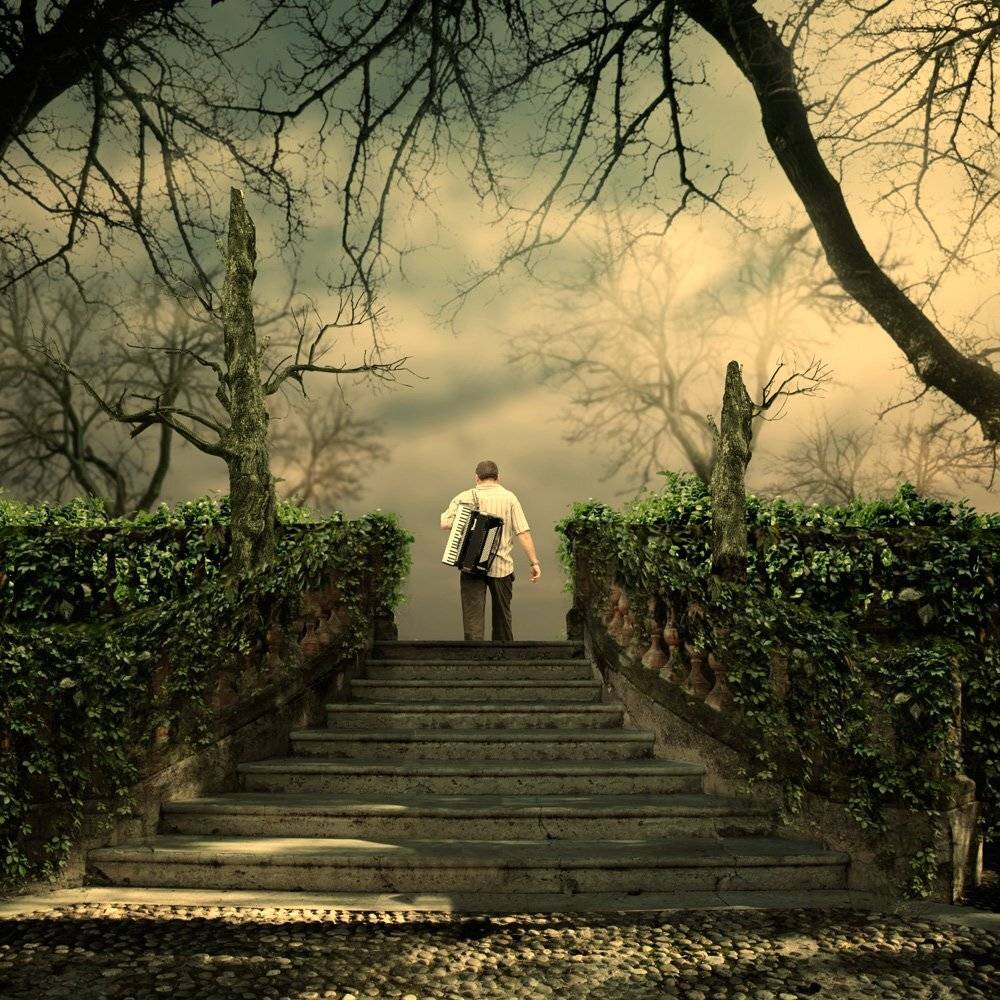 mist, forest, birds, light, tree, man, wood, play, stone, stairs, mystery, tunnel, musician, accordeon, Caras Ionut