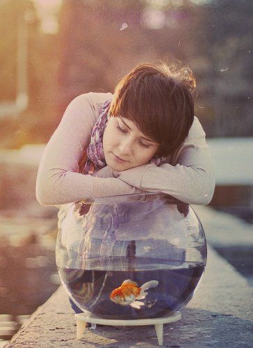 история о маленьком золотом друге