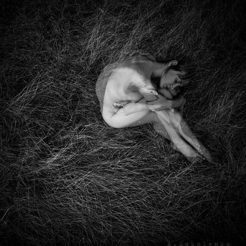 № фото превью