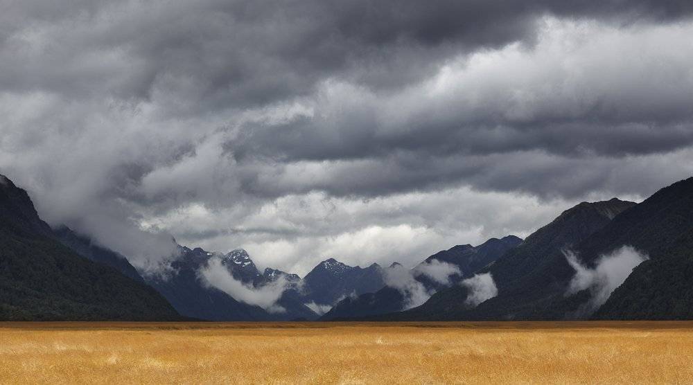 , Надежда Звягина / New Zealand