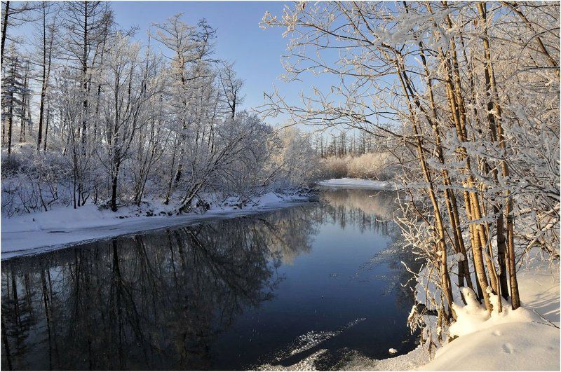 Солнечно и морозно! фото превью