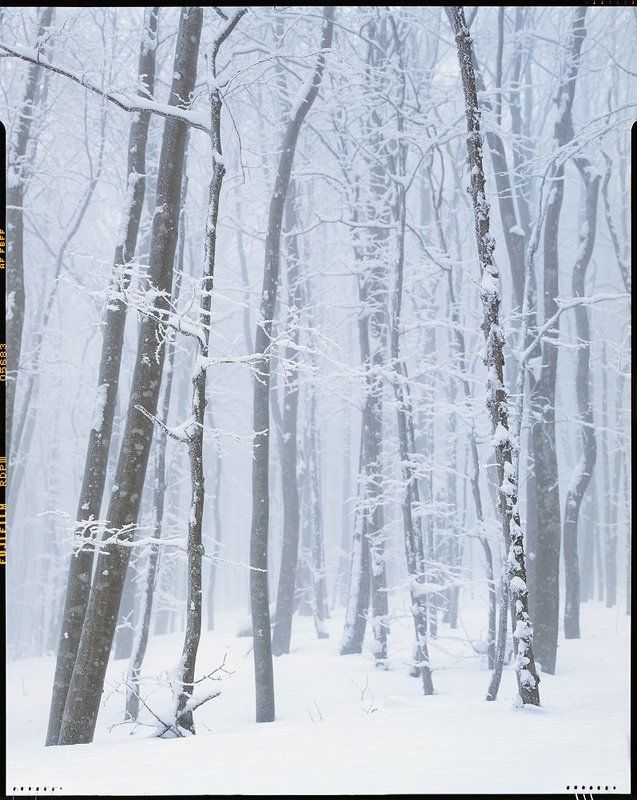 * фото превью