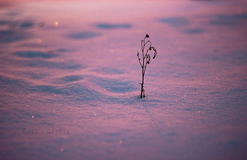 my best photos фото превью