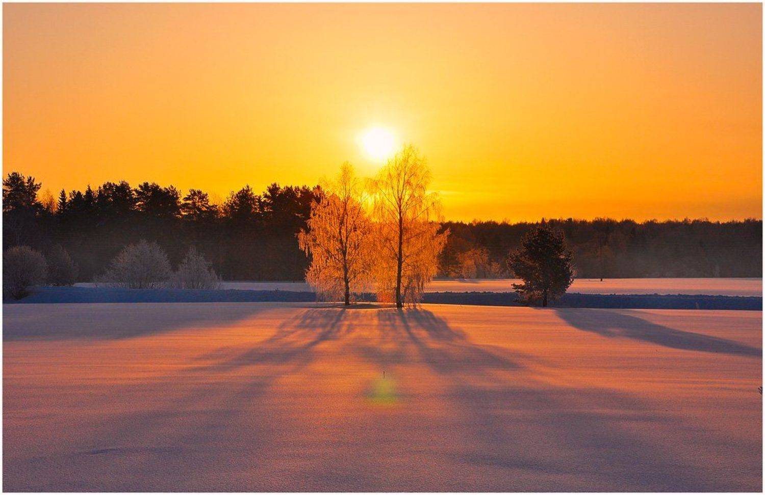 утро,иней,пейзаж,солнце,рассвет,двое,зима,золотой рассвет, АНДРЕЙ LOZHKIN