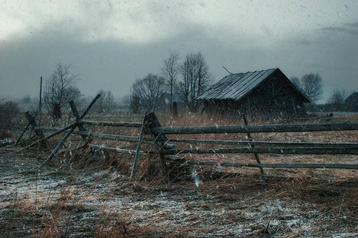 , Владимир Липецких