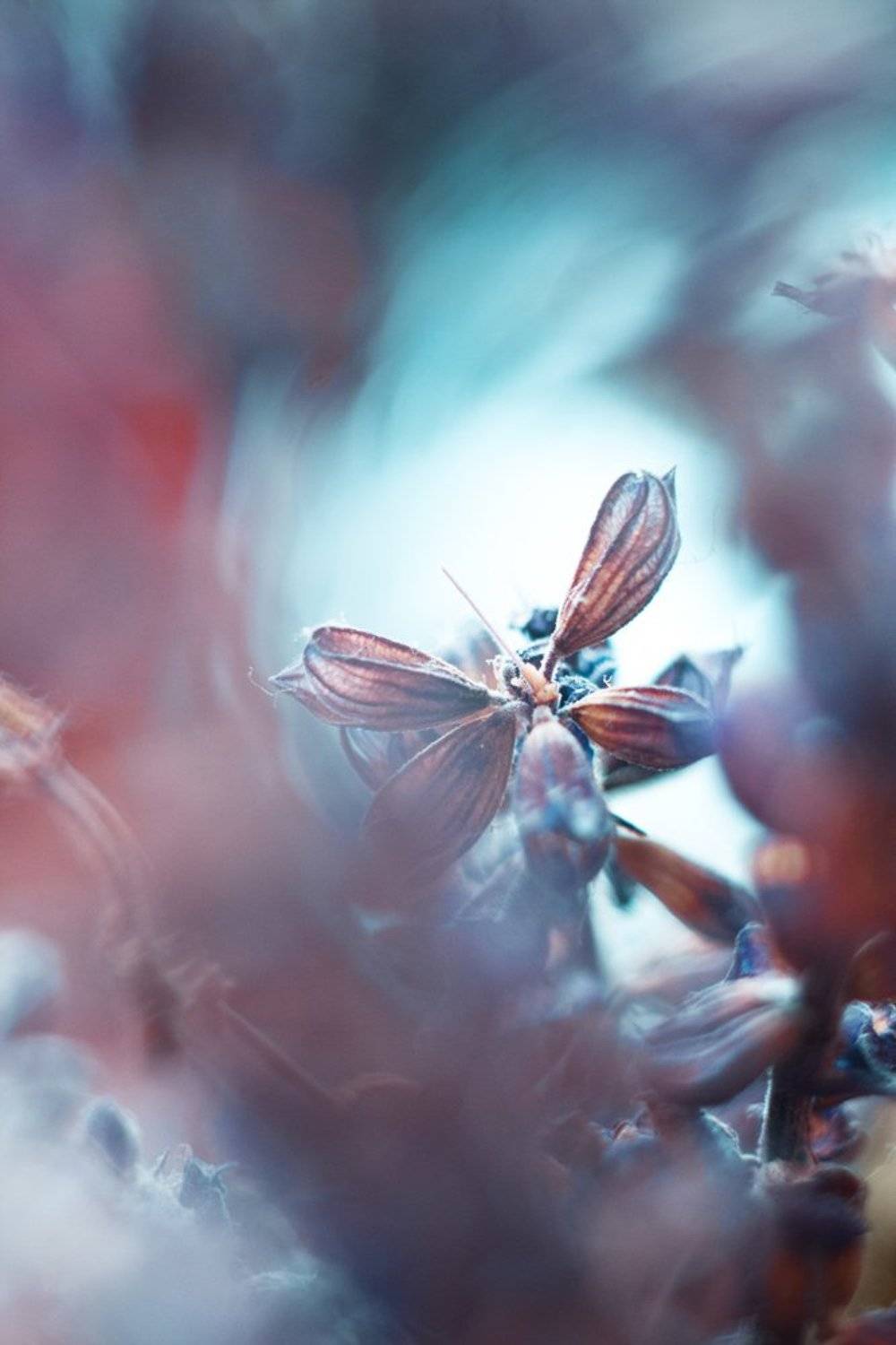 , Фомиченко Иван