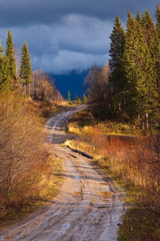 ural, taiga, road, forest, autumn Влюблённость в путешествия фото превью