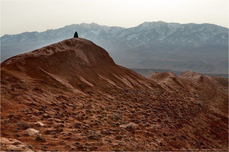 almaty, region;, bagoty;, kazakhstan;, march;, spring;, photo-safari;, алматинская, область;, богуты;, весна;, казахстан;, март;, фотосафари Богуты, март 2012 г. фото превью