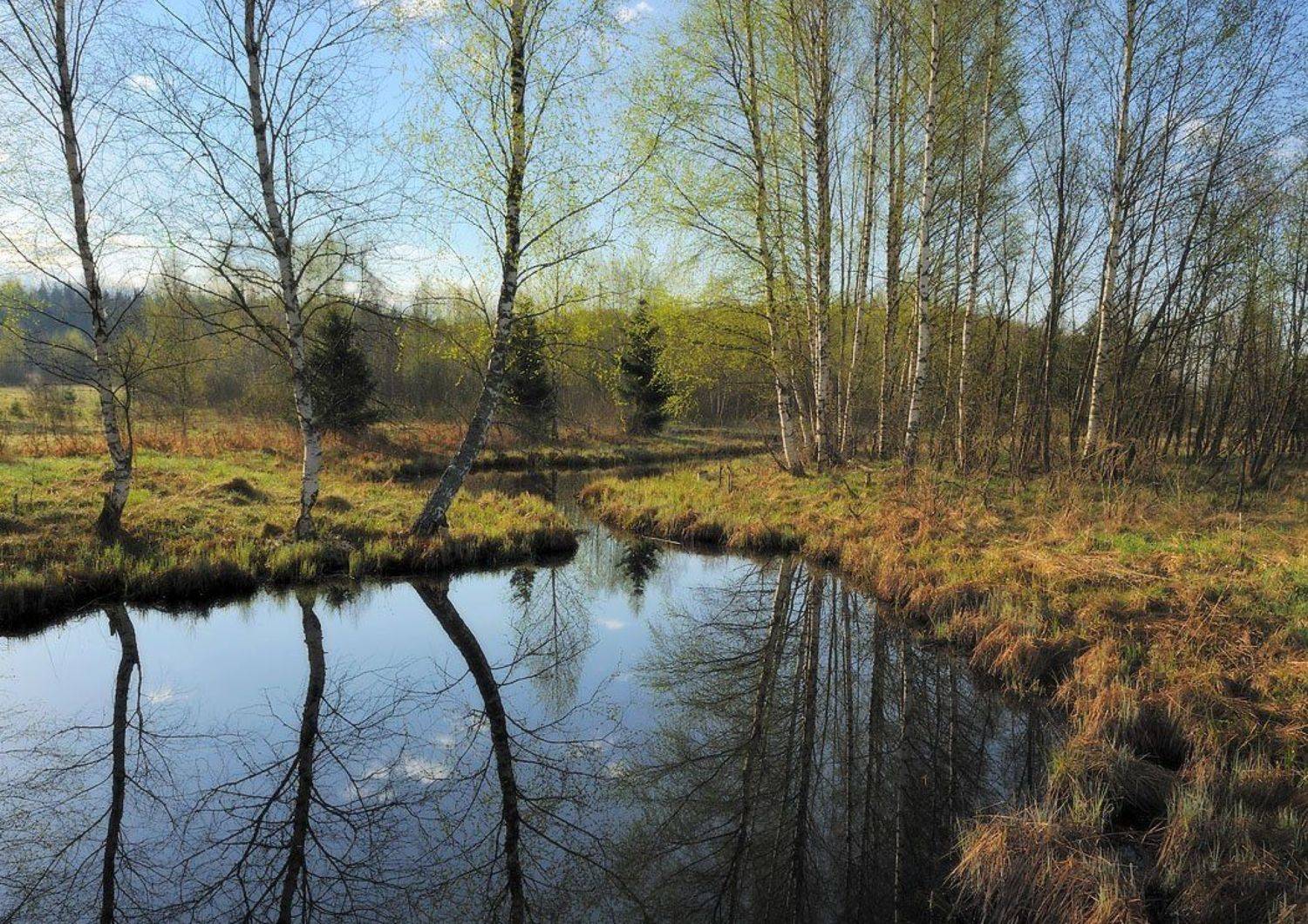 , Сергей Седов