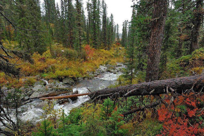 Хроника одной реки 2. фото превью