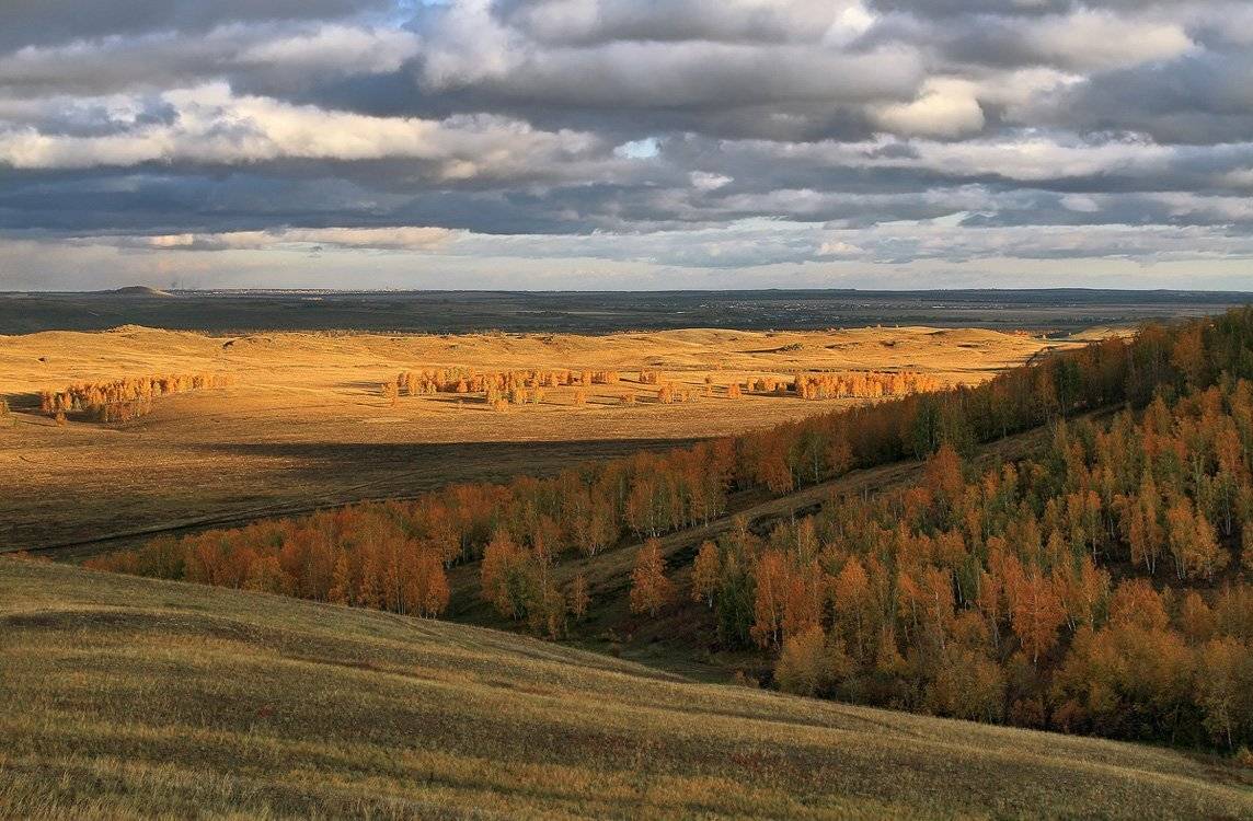 , Александр Сысуев