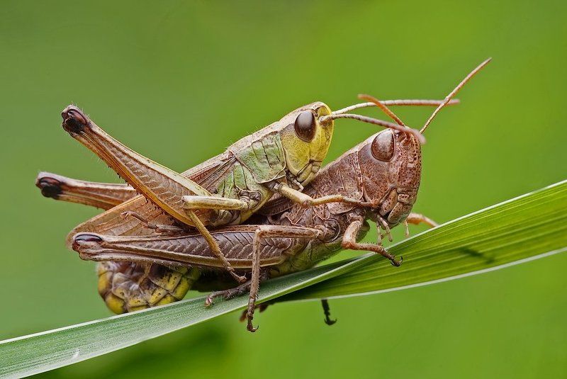 prawa natury... фото превью