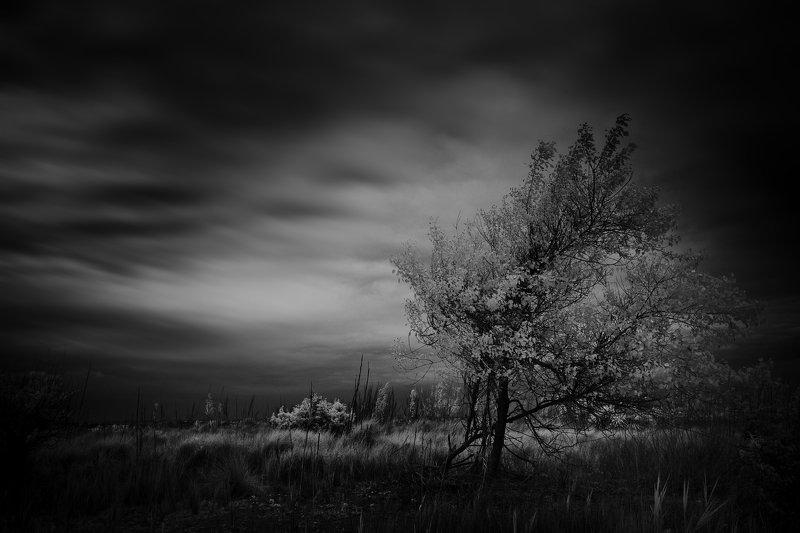 IR Three фото превью