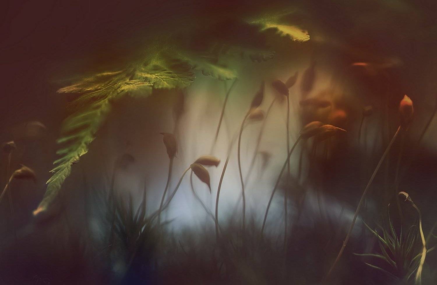 , Галина  Юняева