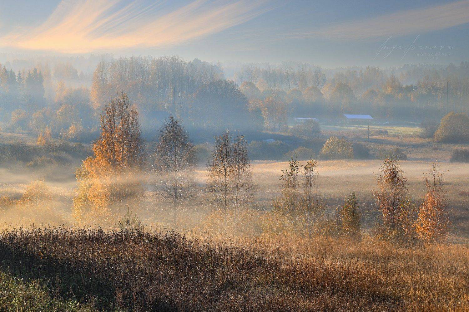 , Инга Иванова