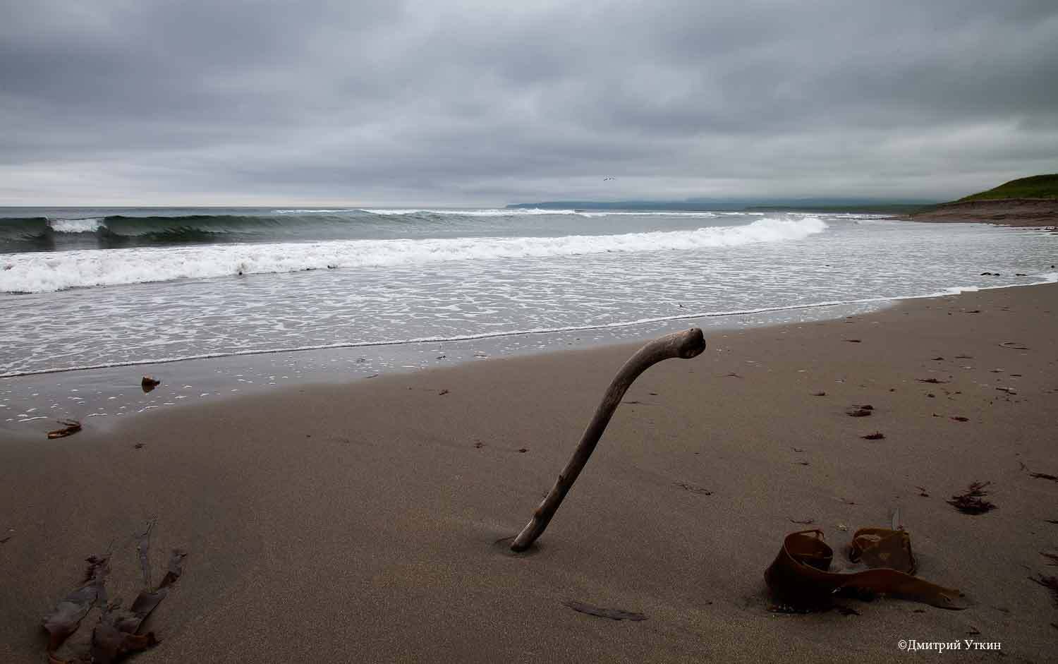 , Дмитрий Уткин