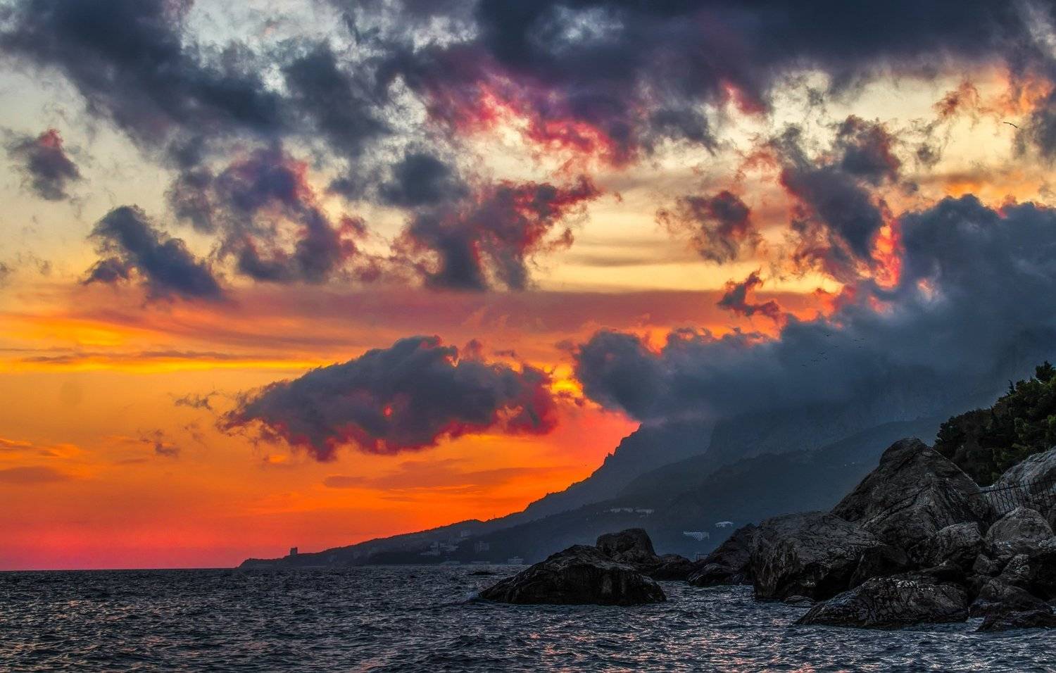 , Игорь Квочка